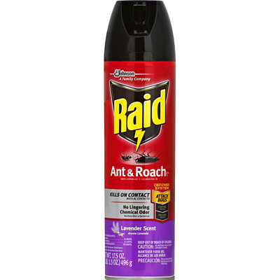 raid essentials insect killer Albertsons Coupon on WeeklyAds2.com