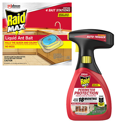 raid insect killer Albertsons Coupon on WeeklyAds2.com