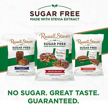 Russell Stover Chocolate Candy Sugar Free Pecan Delight - 3 Oz - Image 3