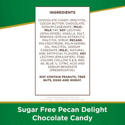 Russell Stover Sugar Free Pecan Delight Chocolate Candy Bag - 3 Oz - Image 4