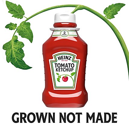 Heinz Tomato Ketchup Bottles - 2-50.5 Oz - Image 6