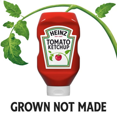 Heinz Tomato Ketchup - 32 Oz - Image 2