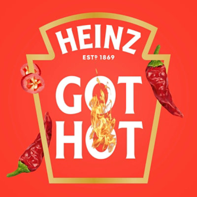 Heinz Tomato Ketchup Blended With Chipotle - 14 Oz Squeeze - Image 3