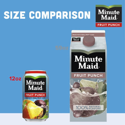 Minute Maid Juice Fruit Punch Fridge Pack Cans - 12-12 Fl. Oz.