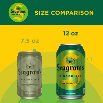 Seagrams Ale Ginger Can - 24-12 Fl. Oz. - Image 2