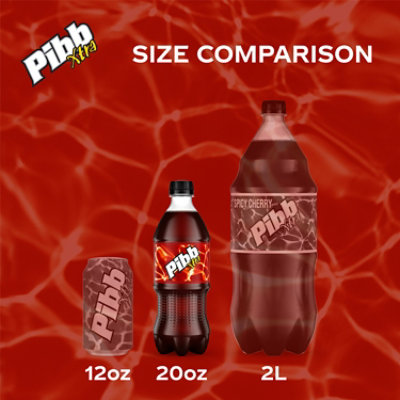 Pibb Soda Xtra - 20 Fl. Oz. - Image 2