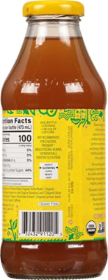 Guayaki Yerba Mate Mint Terere Bottle - 16 Fl. Oz. - Image 6