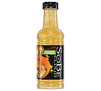 SoBe Elixir Flavored Beverage Citrus Energy - 20 Fl. Oz.