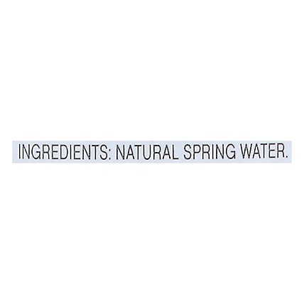 evian Natural Spring Water Bottle - 1 Liter - Image 4