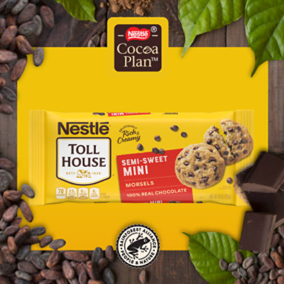 Nestle Toll House Semi Sweet Chocolate Mini Chips - 10 Oz - Image 4