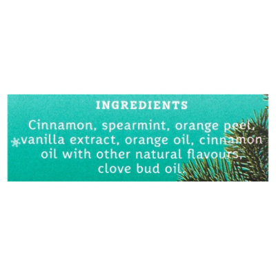 Stash Tea Bags Herbal Christmas Eve 18 Count - 1.0 Oz - Image 3