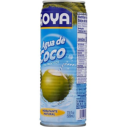 Goya Coconut Water With Pulp - 17.6 Fl. Oz. - Image 6