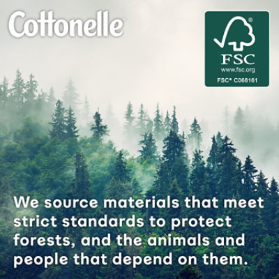 Cottonelle Flushable Wet Wipes Refillable Tub Pack - 42 Count - Image 7