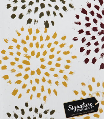 Signature SELECT Facial Tissue Softly Soft Touch 2 Ply White Box - 80 Count - Image 4