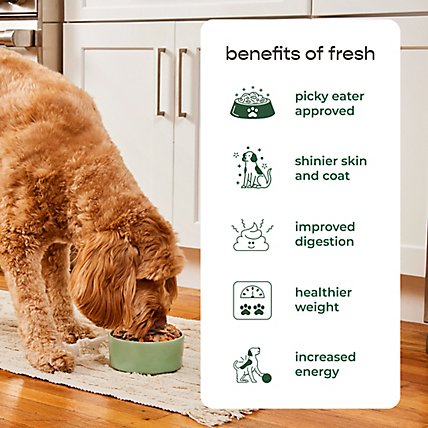Freshpet Select Dog Food Chunky Chicken & Turkey Recipe Wrapper - 1.5 Lb - Image 4