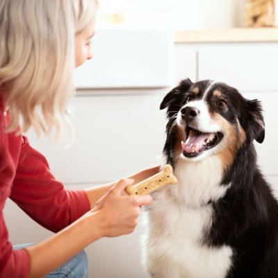 Milk-Bone Dog Snacks Biscuits Large Value Size Box - 64 Oz - Image 7