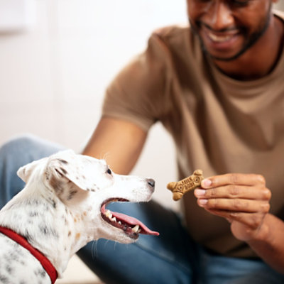 Milk-Bone Flavor Snacks Dog Snacks For All Sizes Small 5 Meaty Flavors Box - 60 Oz - Image 3