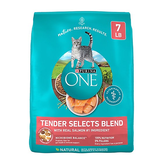 Purina ONE Tender Selects Salmon Dry Cat Food - 7 Lbs