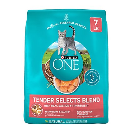 Purina ONE Tender Selects Salmon Dry Cat Food - 7 Lbs - Image 1