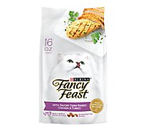 Fancy Feast Savory Chicken & Turkey Dry Cat Food - 16 Oz
