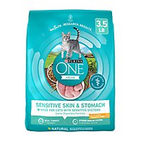 Purina ONE Sensitive Skin & Stomach Formula Real Turkey Dry Cat Food - 3.5 Lb - Image 1