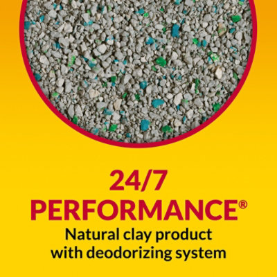 Tidy Cats 24/7 Performance Cat Litter - 20 Lbs - Image 2