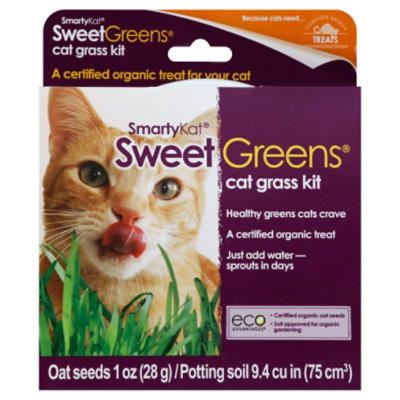 SmartyKat Sweet Greens Cat Grass Kit - 1 Oz - Image 1