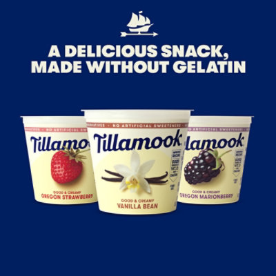 Tillamook Low Fat Oregon Marionberry Good And Creamy Yogurt - 6 Oz - Image 3