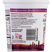 Nancys Yogurt Reduced Fat Plain - 32 Oz - Image 6