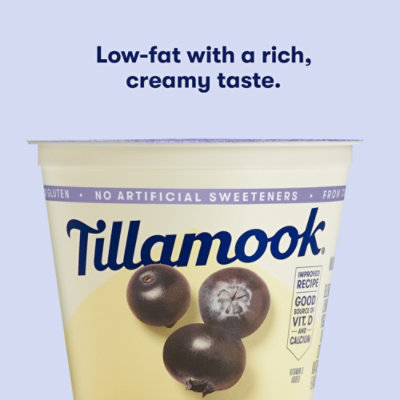 Tillamook Good & Creamy Mountain Huckleberry Low-Fat Yogurt - 6 Oz - Image 2