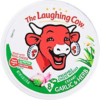 The Laughing Cow Creamy Garlic & Herb Cheese Spread - 6 Oz - Image 1