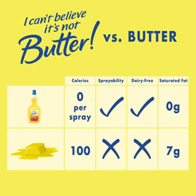 I Cant Believe Its Not Butter! Original Spray - 8 Oz - Image 4