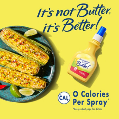 I Cant Believe Its Not Butter! Original Spray - 8 Oz - Image 3