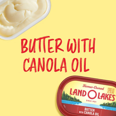 Land O Lakes Butter with Canola Oil Spreadable Tub - 8 Oz - Image 2