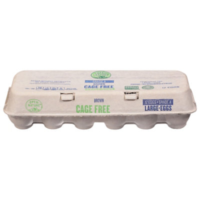 Open Nature Eggs Cage Free Large Brown - 12 Count - Image 1