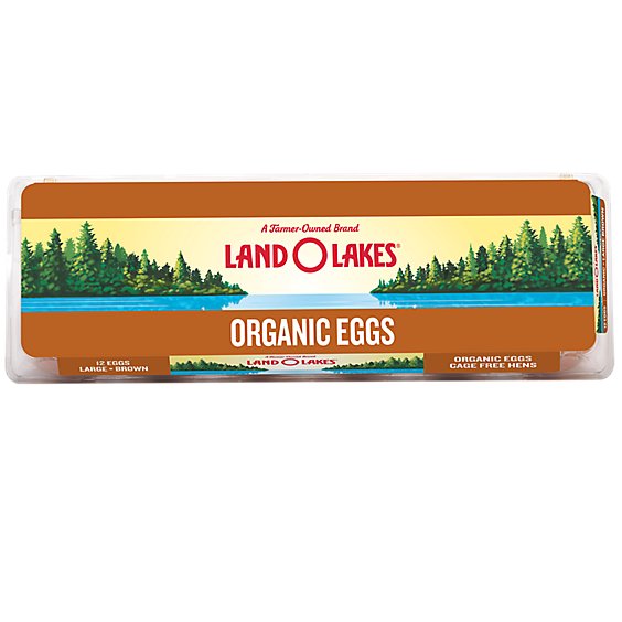 Land O Lakes Eggs Organic Brown Large - 12 Count