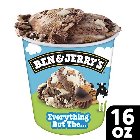 Ben & Jerrys Ice Cream Everything But The 1 Pint - 16 Oz