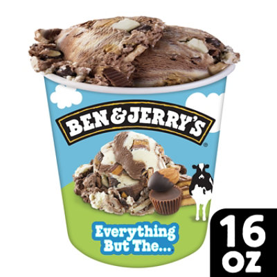 Ben & Jerrys Ice Cream Everything But The 1 Pint - 16 Oz