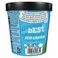 Ben & Jerrys Ice Cream Peanut Butter Cup 1 Pint - 16 Oz - Image 6