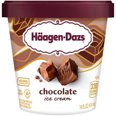 Haagen-Dazs Chocolate Ice Cream - 14 Oz - Image 2