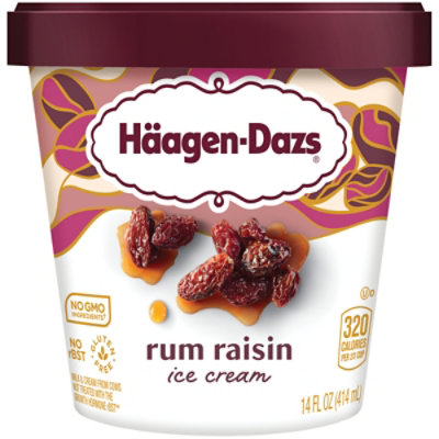 Haagen-Dazs Rum Raisin Ice Cream - 14 Oz - Image 4