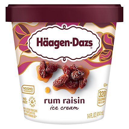 Haagen-Dazs Ice Cream Rum Raisin - 14 Fl. Oz. - Image 2