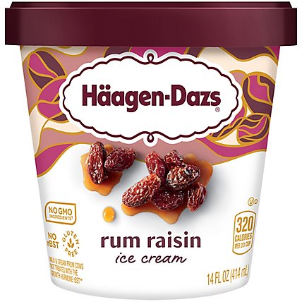 Haagen-Dazs Ice Cream Rum Raisin - 14 Fl. Oz. - Image 1