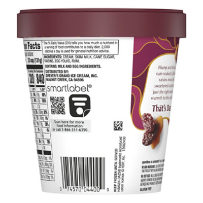 Haagen-Dazs Rum Raisin Ice Cream - 14 Oz - Image 3