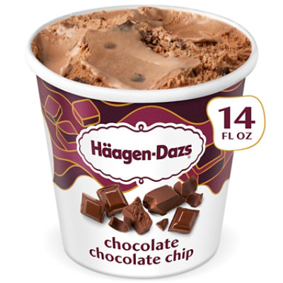 Haagen-Dazs Ice Cream Chocolate Chocolate Chip Ice Cream - 14 Fl. Oz.