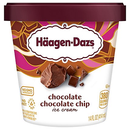 Haagen-Dazs Ice Cream Chocolate Chocolate Chip - 14 Fl. Oz. - Image 3