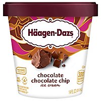 Haagen-Dazs Ice Cream Chocolate Chocolate Chip - 14 Fl. Oz. - Image 1