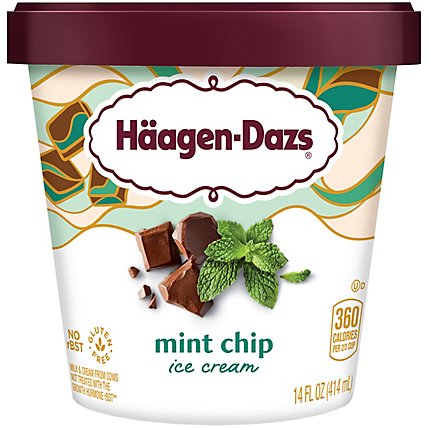 Haagen-Dazs Mint Chip Ice Cream - 14 Oz - Image 1