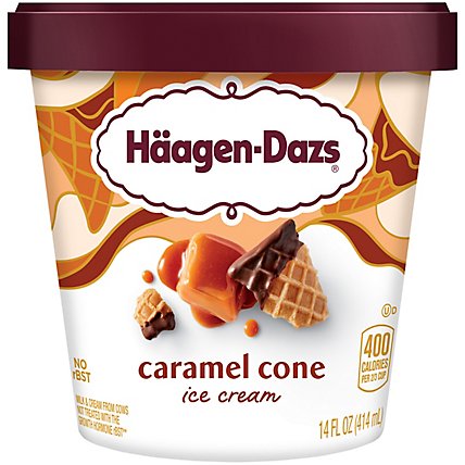 Haagen-Dazs Caramel Cone Ice Cream - 14 Oz - Image 1