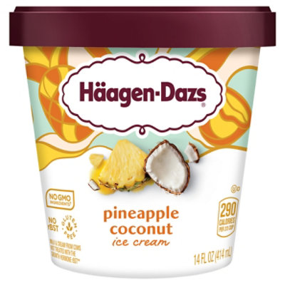 Haagen-Dazs Pineapple Coconut Ice Cream - 14 Oz - Image 4